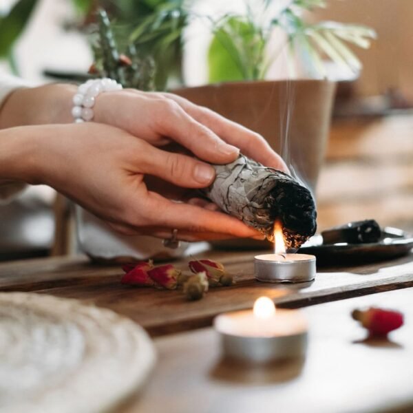 El Oráculo de la Verdad: 22 Dosis de Calma